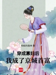 穿成寡妇后，我成了京城首富穿成寡妇后，我成了京城首富